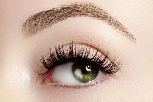 Beautiful macro shot of female eye with extreme long eyelashes and black liner makeup. Perfect shape make-up and long lashes. Cosmetics and make-up. Closeup macro shot of fashion eyes visage