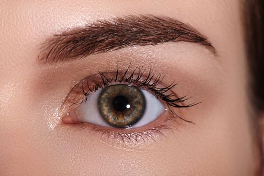 Close-up Macro of Beautiful Female Eye with Perfect Shape Eyebrows. Clean skin, Fashion Naturel Make-Up. Good Vision.