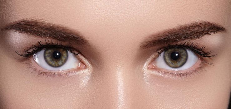 Close-up Macro of Beautiful Female Eyes with Perfect Shape Eyebrows. Clean Skin, Fashion Naturel Make-Up. Good Vision. Staring In Front