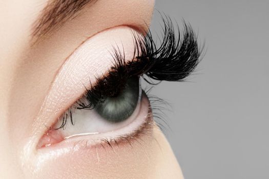 Beautiful macro shot of female eye with extreme long eyelashes and black liner makeup. Perfect shape make-up and long lashes. Cosmetics and make-up. Closeup macro shot of fashion eyes visage