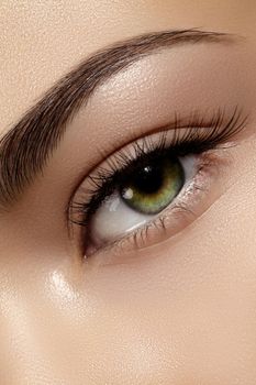 Beautiful macro shot of female eye with classic clean makeup. Perfect shape of eyebrows, brown eyeshadows and long eyelashes. Cosmetics and make-up. Closeup macro shot of fashion natural eyes visage