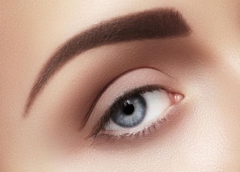 Beautiful macro shot of female eye with classic smoky makeup. Perfect shape of eyebrows, brown eyeshadows and long eyelashes. Cosmetics and make-up. Closeup macro shot of fashion smoky eyes visage