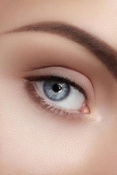 Beautiful macro shot of female eye with classic smoky makeup. Perfect shape of eyebrows, brown eyeshadows and long eyelashes. Cosmetics and make-up. Closeup macro shot of fashion smoky eyes visage