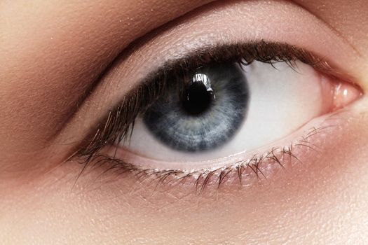 Beautiful macro shot of female eye with classic smoky makeup. Perfect shape of eyebrows, brown eyeshadows and long eyelashes. Cosmetics and make-up. Closeup macro shot of fashion smoky eyes visage