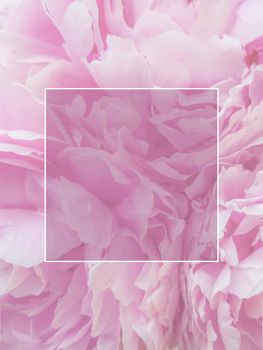 darkened frame on a background of pink peonies flowers, free space for your text.