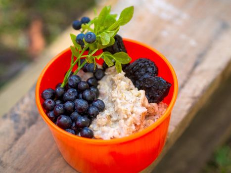 Oatmeal with blueberries in an orange plate on the nature in the forest. Hiker's breakfast.