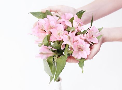 bouquet of flowers in female hands isolated on a light background.photo with copy space
