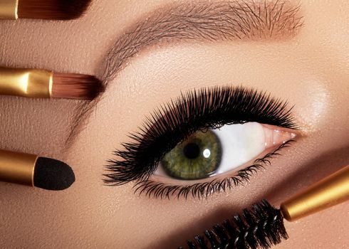 Fashion woman applying eyeshadow, mascara on eyelid, eyelash and eyebrow using makeup brush. Professional make-up artist. Closeup macro beauty photo