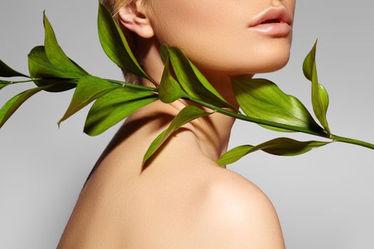 Beautiful woman applies Organic Cosmetic. Spa and Wellness. Model with Clean Skin. Healthcare. Picture with leaf on grey background