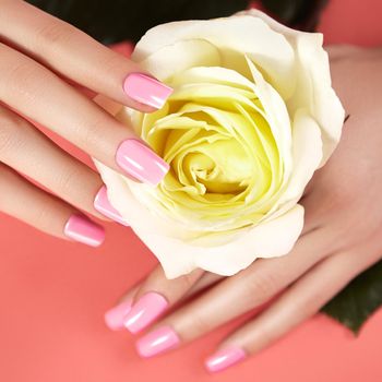 Manicured nails with pink nail polish. Manicure with nailpolish. Fashion art manicure with shiny gel lacquer. Nails salon