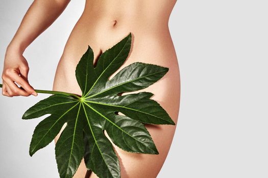 Waxing for beautiful woman. Brazilian laser hair removal bikini line an sexy body shapes. Body care and clean skin. Sexy woman in spa