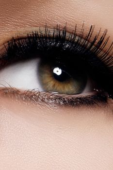 Beautiful macro shot of female eye with extreme long eyelashes and black liner makeup. Perfect shape make-up and long lashes. Cosmetics and make-up. Closeup macro shot of fashion eyes visage