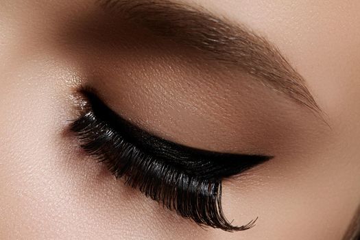 Beautiful macro shot of female eye with extreme long eyelashes and black liner makeup. Perfect shape make-up and long lashes. Cosmetics and make-up. Closeup macro shot of fashion eyes visage