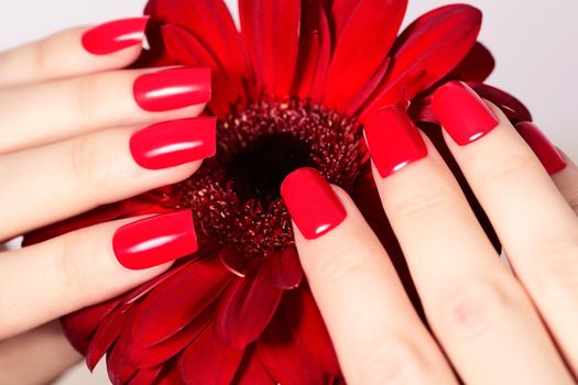 Beauty hands with red fashion manicure and bright flower. Beautiful manicured red polish on nails. Fasionable cosmatics and makeup