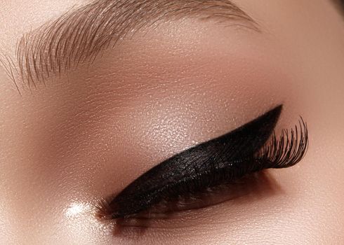 Beautiful macro shot of female eye with extreme long eyelashes and black liner makeup. Perfect shape make-up and long lashes. Cosmetics and make-up. Closeup macro shot of fashion eyes visage