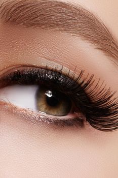 Beautiful macro shot of female eye with extreme long eyelashes and black liner makeup. Perfect shape make-up and long lashes. Cosmetics and make-up. Closeup macro shot of fashion eyes visage