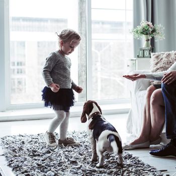 little girl playing with her dog in the spacious living room near a large window