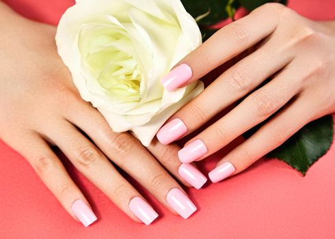 Manicured nails with pink nail polish. Manicure with nailpolish. Fashion art manicure with shiny gel lacquer. Nails salon