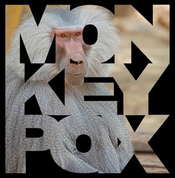 Monkeypox virus concept. Banner for awareness and alert against disease spread, symptoms, or precautions. Monkey Pox virus outbreak pandemic design. High quality photo