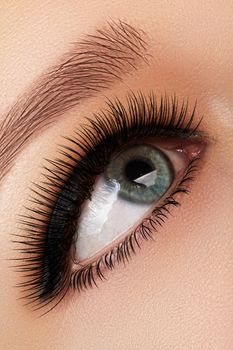 Beautiful macro shot of female eye with extreme long eyelashes and black liner makeup. Perfect shape make-up and long lashes. Cosmetics and make-up. Closeup macro shot of fashion eyes visage