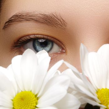 Close-up macro of beautiful female eye with perfect shape eyebrows. Clean skin, fashion naturel make-up. Good vision. Spring natural look with chamomile flowers