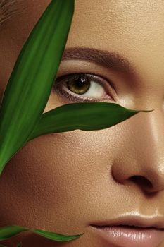 Close-up face of beautiful young woman with smooth tanned skin covered by leaves. Portrait of beauty model with natural bronze make-up. Spa, skincare and wellness