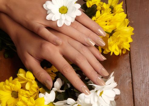 Manicured nails with natural nail polish. Manicure with beige nailpolish. Fashion manicure. Shiny gel lacquer. Spring style