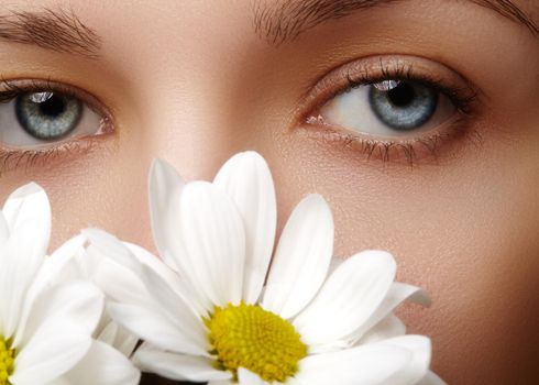 Close-up macro of beautiful female eye with perfect shape eyebrows. Clean skin, fashion naturel make-up. Good vision. Spring natural look with chamomile flowers