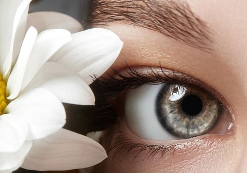 Close-up macro of beautiful female eye with perfect shape eyebrows. Clean skin, fashion naturel make-up. Good vision. Spring natural look with chamomile flowers.