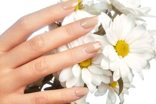 Beautiful female fingers with pastel pink manicure touching spring flowers. Care about female hands, healthy soft skin. Spa, cosmetics. Close-up of beautiful fingers with nails polish.