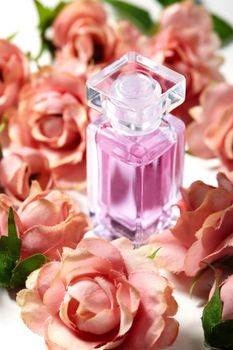 Perfume bottle in pink flower roses. Spring background with luxury aroma parfume. Beauty cosmetic, fresh aromatic