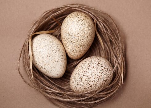 Happy Easter. Background with natural eggs in the nest. Beautiful holiday card