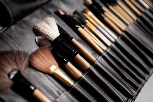 Set of make-up brushes in black makeup bag. Beauty tools for professional visage. Brushes for maskara, eyeshadows, foundation, lipstick, blush and facial cream