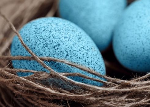 Happy Easter. Background with natural eggs in the nest. Beautiful holiday card