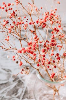 Gypsophila or baby's breath flowers Beautiful pink flower blooming with soft light. Selective focus. Spring holiday card background. Delicate aesthetics. Bloom nature backdrop.