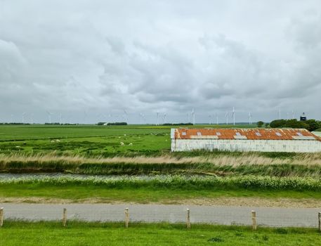 Sheep on a green dike at the North Sea near Husum