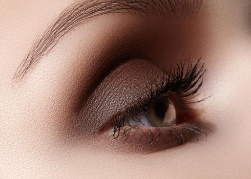 Beautiful macro shot of female eye with classic smoky makeup. Perfect shape of eyebrows, brown eyeshadows and long eyelashes. Cosmetics and make-up. Closeup macro shot of fashion smoky eyes visage