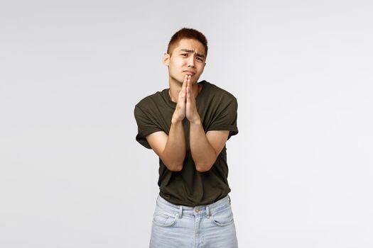 Clingy taiwanese teenage guy begging parents let him go party, shaking pleading hands, clasp arms together in pray and frowning, asking help, appologizing, standing grey background.