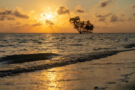 low sunrise shot with the light and red colors reflected in the waves and the silhouette of lone mangrove tree in the middle of the ocean in havelock swaraj dweep andaman India