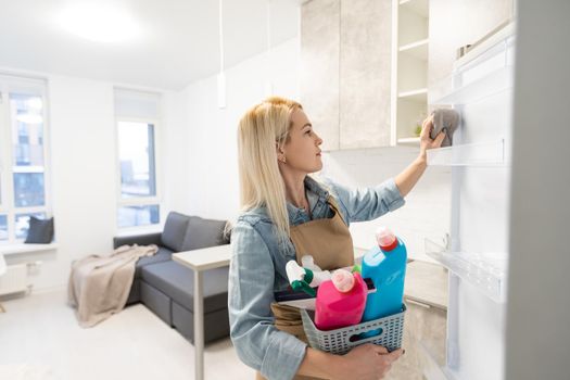 Beautiful young woman makes cleaning the house. Girl rubs dust