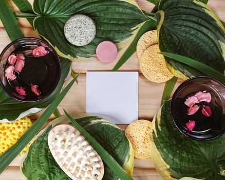 Beautiful Spa Flat Lay with Face and Body Care Cosmetics. Succulent Leaves and Wood Background with Copy Space. Top View Still Life Concept