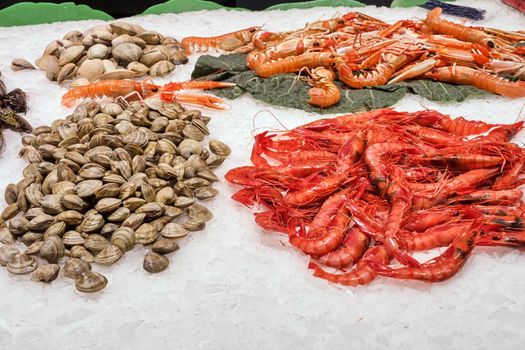 Clams and prawns for sale at a market