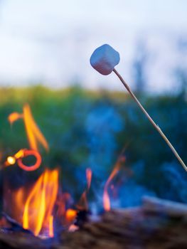 Marshmallow on skewers is fried at the stake