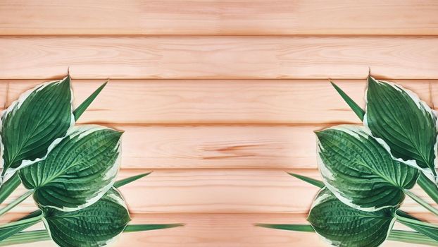 Beautiful Layout Made of Tropical Green Leaves and Empty Wooden background For Copy Space. Minimal Natural Background.