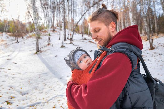 Cute baby walks through the winter forest in sling of his babywearing father.