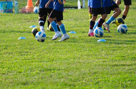 Group of school children running and kicking soccer balls on grass field. Kids practicing football on summer training camp, close up.