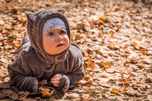 Little baby boy playing in yellow fall foliage, copy space.