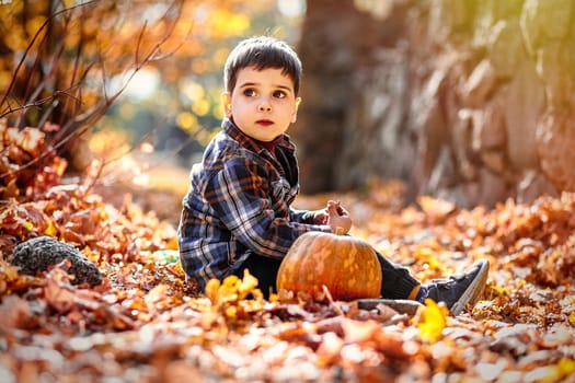 Caucasian boy 3-4 y.o. sitting on fall foliage next to pumpkin.