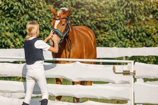 Young beautiful girl in riding gear with horse, she reaching up to stroke her horse on the nose.