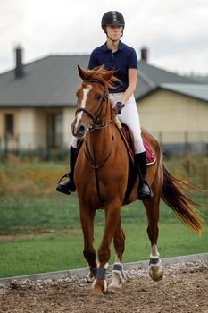 A young and pretty girl is learning to ride a thoroughbred Mare on a summer day at the ranch. Horse riding, training and rehabilitation.